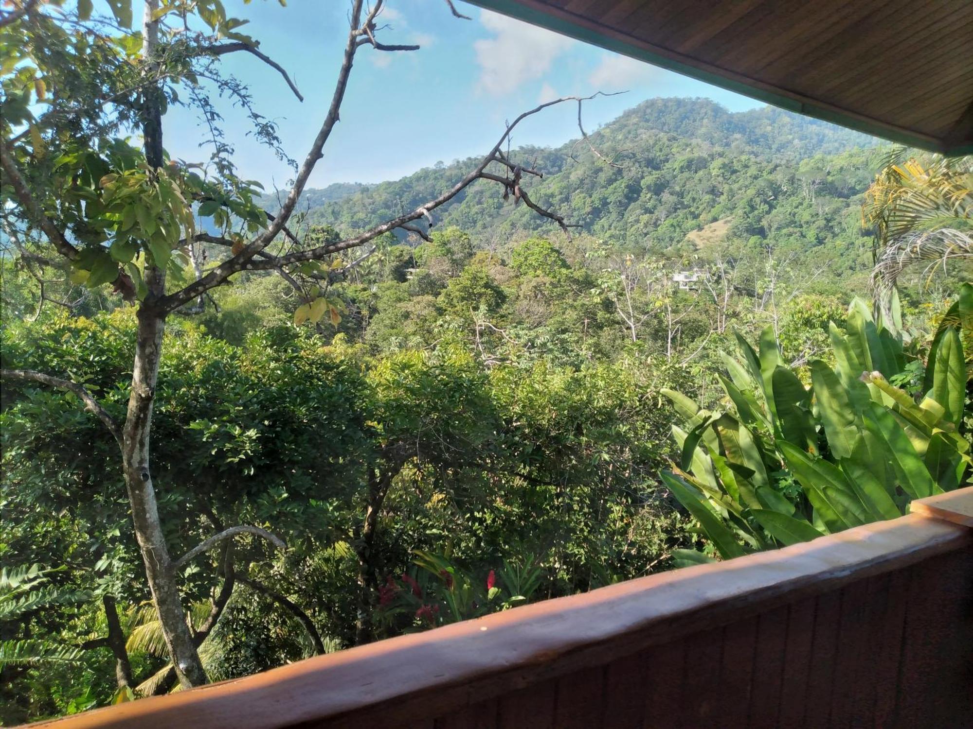 Casa Miramar Villa Uvita Kamer foto